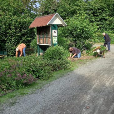 Gemeinschaftsarbeit im Juli