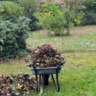 Gemeinschaftsarbeit im Oktober