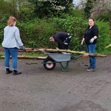 Gemeinschaftsarbeit April