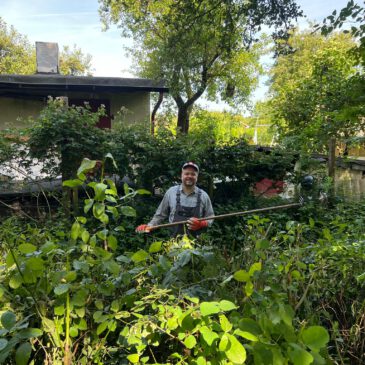 Gemeinschaftsarbeit im Juni