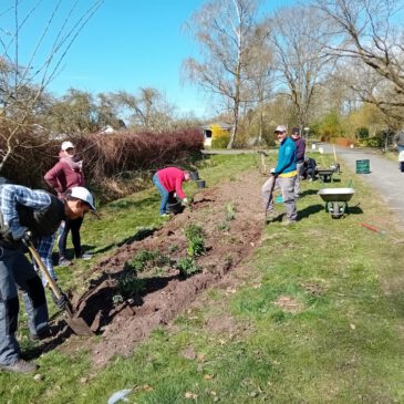 Erste Gemeinschaftsarbeit 2025
